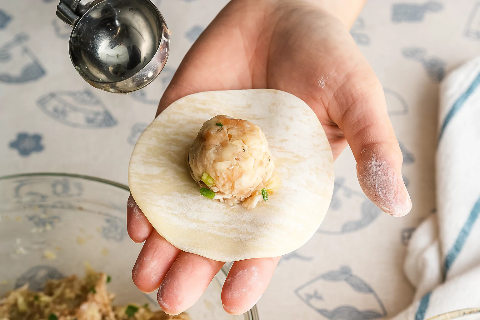 Fried Gyoza