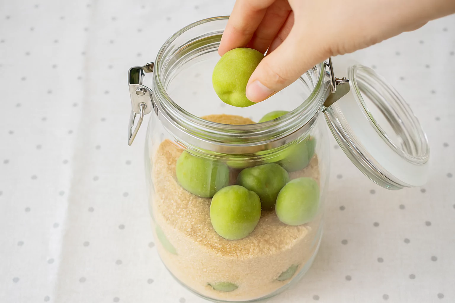 Ume Koji Syrup (梅麹シロップ)