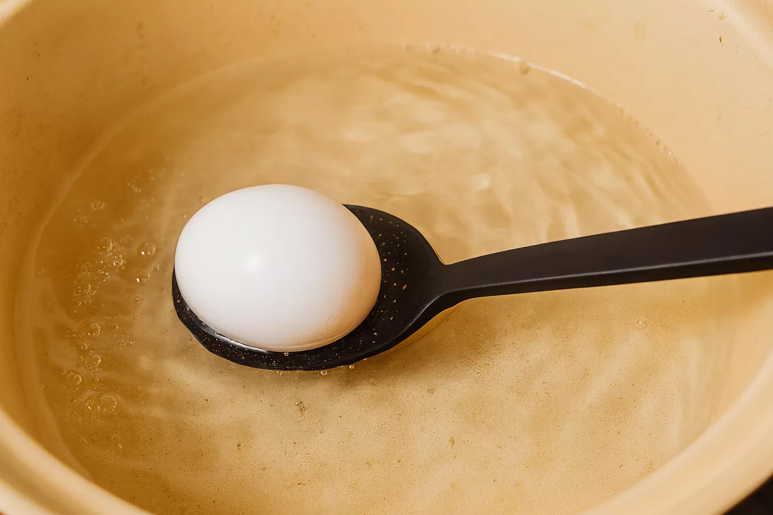 Ajitsuke Tamago 味付け玉子