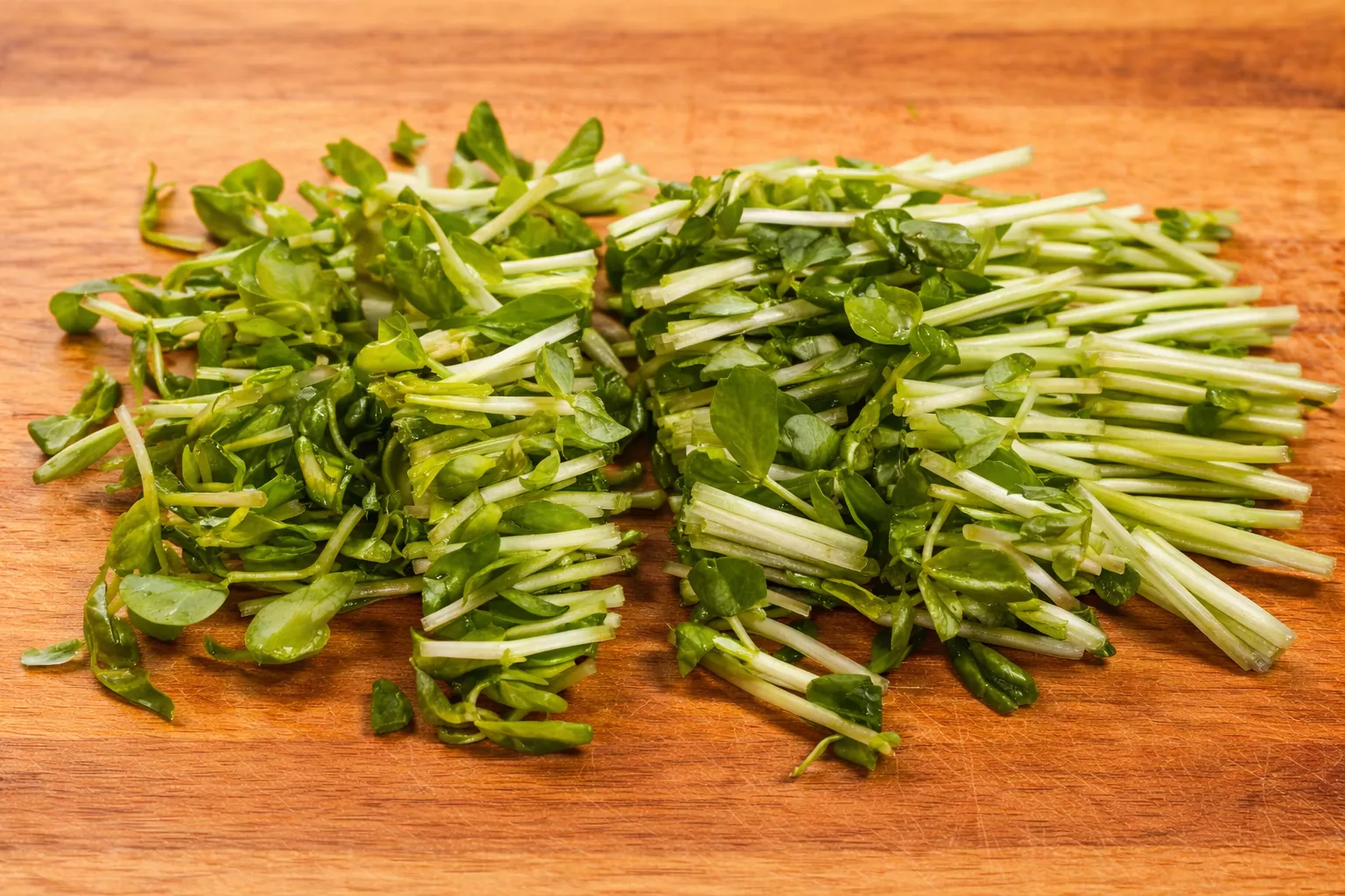 Shrimp Salad エビのサラダ Shrimp Salad エビのサラダ