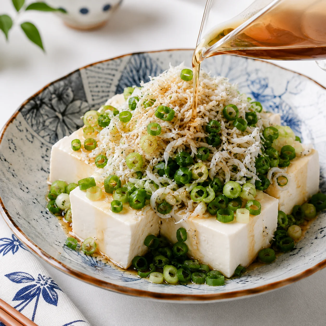 Dried Sardine and Green Onion Tofu Dried Sardine and Green Onion Tofu